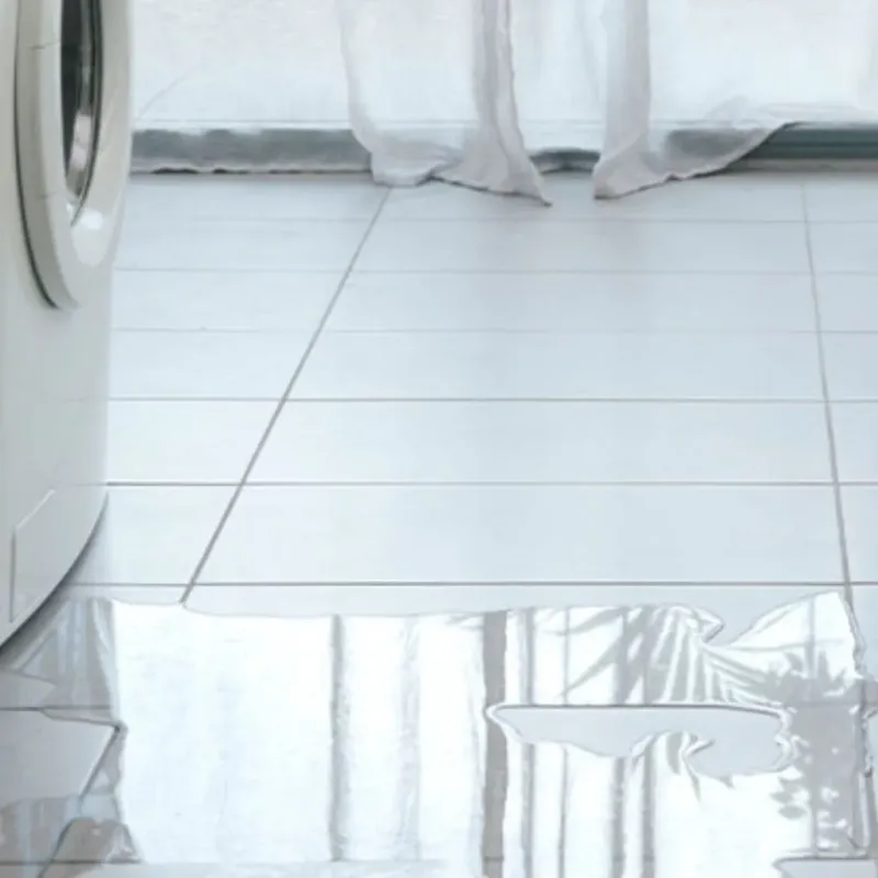 Appliance Leak Cleanup in Saint Peter, WI