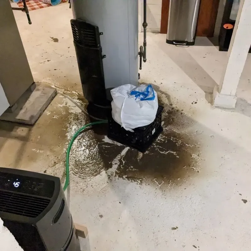 Sewage Backup Cleanup Service in Saint Peter, WI